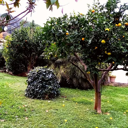 Daire Circeomare San Felice Circeo